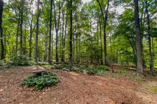11911 N Roxboro Rd, Rougemont, NC 27572 - Photo 63