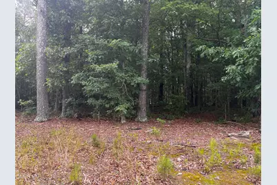 00 Bearpond Road, Henderson, NC 27537 - Photo 3