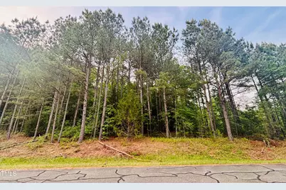 Tbd Alston Horton Service Road, Pittsboro, NC 27312 - Photo 1