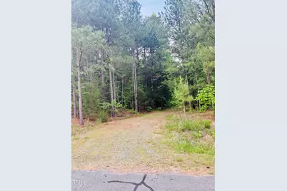 Tbd Alston Horton Service Road, Pittsboro, NC 27312 - Photo 7