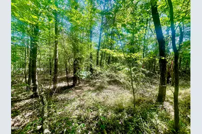 0 N Nc-119, Mebane, NC 27302 - Photo 7
