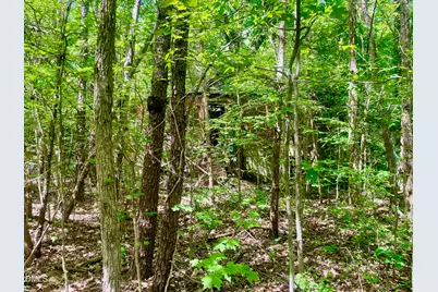 0 N Nc-119, Mebane, NC 27302 - Photo 1