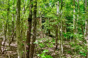 0 N Nc-119, Mebane, NC 27302 - Photo 1