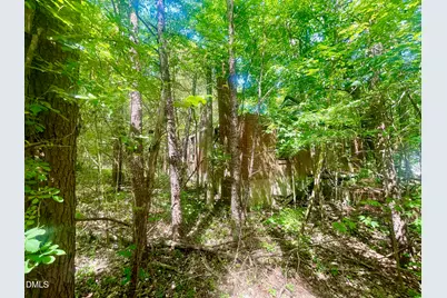 0 N Nc-119, Mebane, NC 27302 - Photo 3