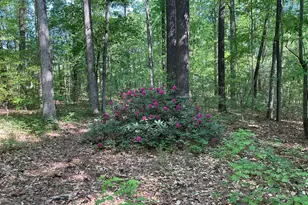 10924 Bexhill Dr, Cary, NC 27518 - Photo 79