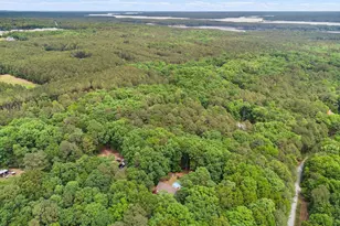 298 Forest Ln, Pittsboro, NC 27312 - Photo 85