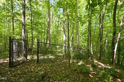 304 Wrights Way, Pittsboro, NC 27312 - Photo 51