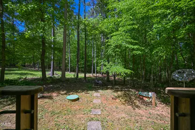 304 Wrights Way, Pittsboro, NC 27312 - Photo 45