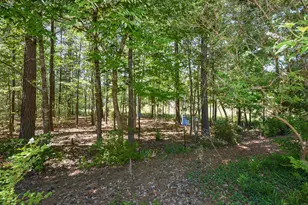 242 Hales Wood Rd, Chapel Hill, NC 27517 - Photo 35