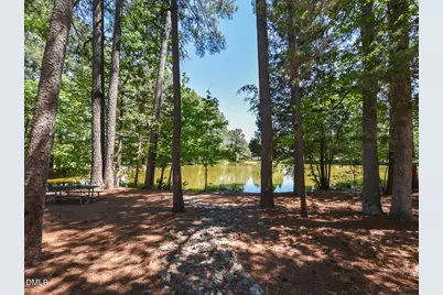 242 Hales Wood Road, Chapel Hill, NC 27517 - Photo 39