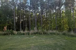 713 Riguard Wy, Wendell, NC 27591 - Photo 41