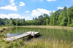 1468 Frazier Rd, Spring Hope, NC 27882 - Photo 63