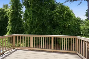 1032 Diamond Dove Ln, Apex, NC 27502 - Photo 25