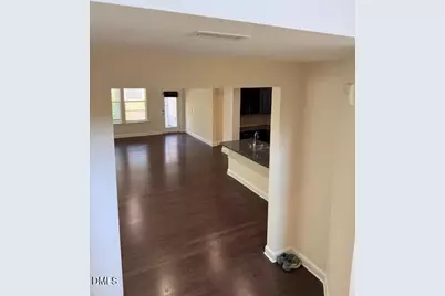 254 Begen Street, Morrisville, NC 27560 - Photo 45