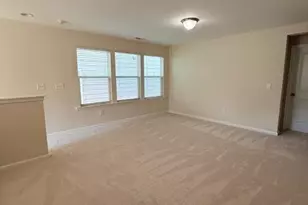 254 Begen St, Morrisville, NC 27560 - Photo 43