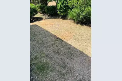 254 Begen Street, Morrisville, NC 27560 - Photo 37