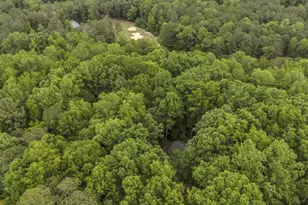 140 Holly Ln, Sanford, NC 27332 - Photo 53