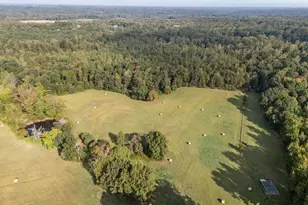 9400 Wheelers Church Rd, Cedar Grove, NC 27541 - Photo 67