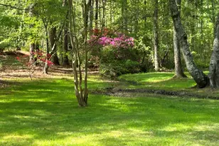 4008 Blackard Pond Rd, Raleigh, NC 27604 - Photo 51