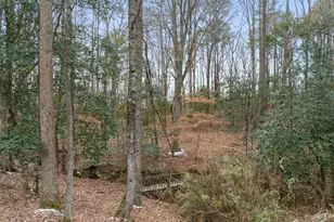 369 Ainsley Ct, Clayton, NC 27527 - Photo 57
