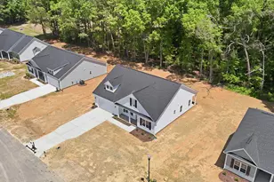 191 Nectar Ln, Bunnlevel, NC 28323 - Photo 33