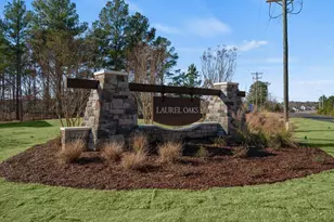 230 Palm Dr, Sanford, NC 27332 - Photo 27