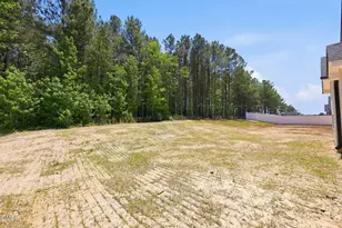 126 Grinnell Loop, Sanford, NC 27332 - Photo 49