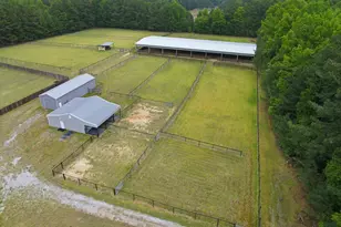 861 Bethlehem Church Rd, Youngsville, NC 27596 - Photo 53
