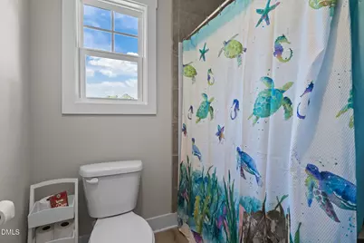255 Ravens Row Drive, Benson, NC 27504 - Photo 27