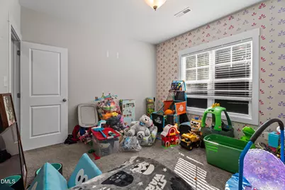 255 Ravens Row Drive, Benson, NC 27504 - Photo 25