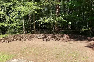 28 Willow Bridge Dr, Durham, NC 27707 - Photo 23