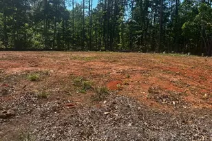 176 Shawnee Dr, Louisburg, NC 27549 - Photo 1