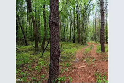 5 Nc 98 Hgwy Highway, Louisburg, NC 27549 - Photo 3