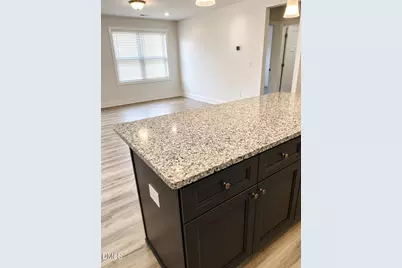 213 N Bickett North Boulevard, Louisburg, NC 27549 - Photo 7