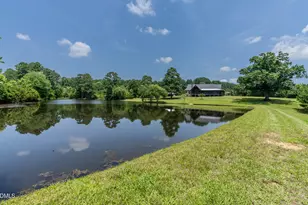 1641 Nc Hwy 96, Franklinton, NC 27525 - Photo 7