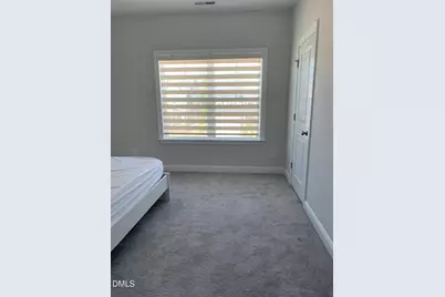 140 Carova Bend, Apex, NC 27539 - Photo 23