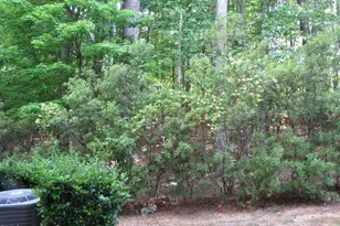 42 Intuition Cir, Durham, NC 27705 - Photo 15