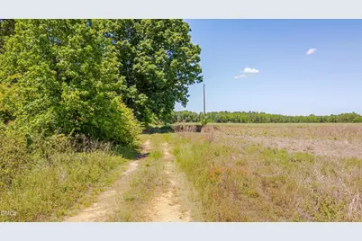 3454 Shearin Road, Whitakers, NC 27891 - Photo 19
