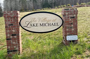 1123 Lake Michael Way, Mebane, NC 27302 - Photo 41