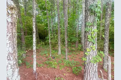 0 Happy Trails Lane, Dunn, NC 28334 - Photo 1