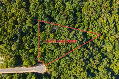 2247 Leah Drive, Hillsborough, NC 27278 - Photo 3