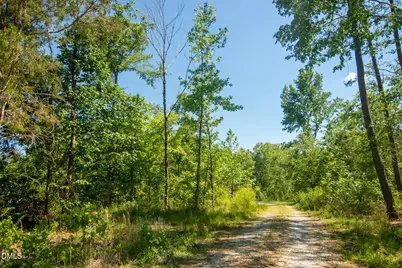 201 Briggs Road, Hurdle Mills, NC 27541 - Photo 35
