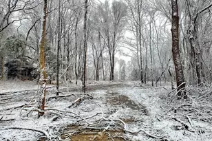 201 Briggs Rd, Hurdle Mills, NC 27541 - Photo 33