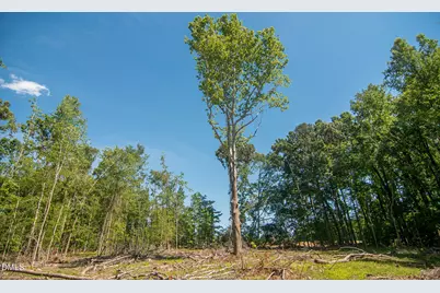 201 Briggs Road, Hurdle Mills, NC 27541 - Photo 37