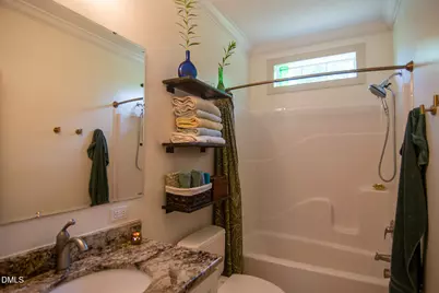 201 Briggs Road, Hurdle Mills, NC 27541 - Photo 25