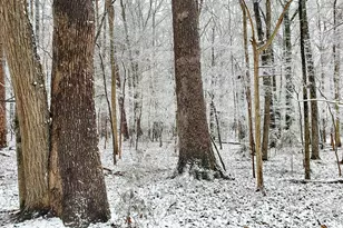201 Briggs Rd, Hurdle Mills, NC 27541 - Photo 29
