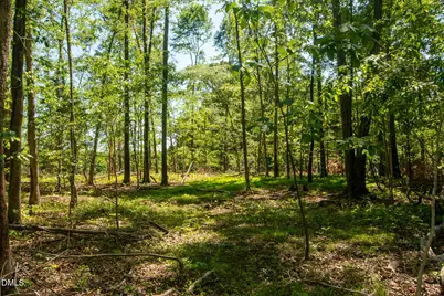 201 Briggs Road, Hurdle Mills, NC 27541 - Photo 39
