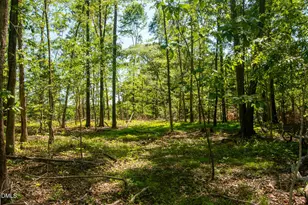 201 Briggs Rd, Hurdle Mills, NC 27541 - Photo 39