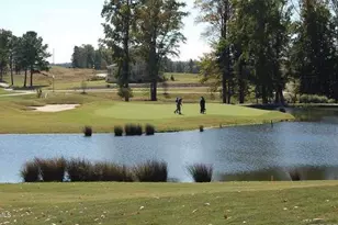 197 Diploma Dr, Clayton, NC 27520 - Photo 21