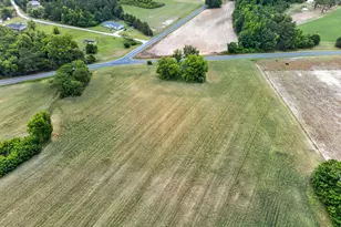 1651 Live Oak Rd, Angier, NC 27501 - Photo 17